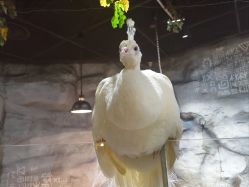 -Zoolung Zoolung动物主题公园(海信广场店)