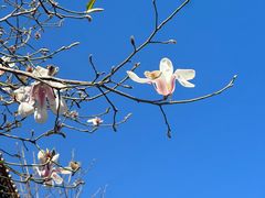 -四季民福烤鸭店(故宫店)