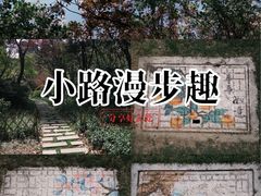 -青枫公园