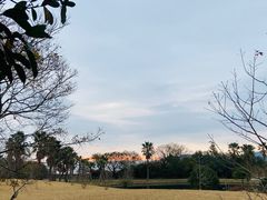 -普陀山风景名胜区-法雨禅寺