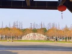 -上海海湾国家森林公园