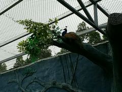 -泉州海丝野生动物世界