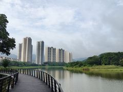 -美的鹭湖森林度假区