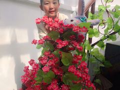 -再回首鸡肉米线(人民路一店)