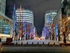 -北海道厅旧本厅舍(旧本庁舎)