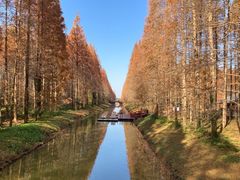 -黄海国家森林公园