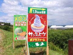 -富田农场