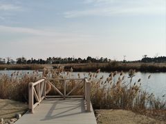 -鹦鹉洲湿地公园