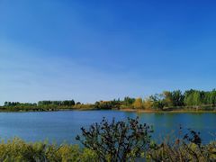 -东郊湿地公园
