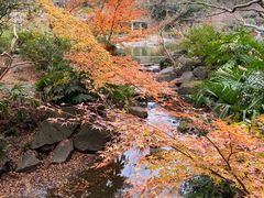 -成田山新胜寺