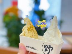 -野人先生Gelato(上海长宁龙之梦店)