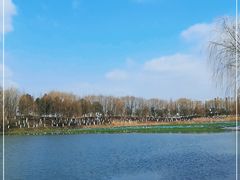 -洋湖国家湿地公园