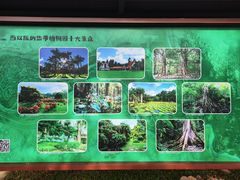 -中国科学院西双版纳热带植物园