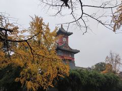 -四川大学(华西校区)