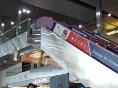 -中免(澳门机场免税店)