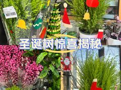-盒马鲜生(大成店)