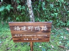 -武夷山风景名胜区-玉女峰