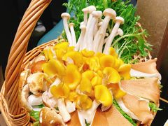 菌菇拼盘-阿杜打边炉(五江天街店)