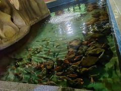 -北戴河圣蓝海洋公园