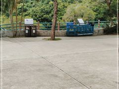 -广东惠东海龟国家级自然保护区