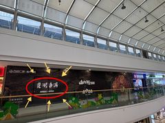 -万达广场(南宁青秀店)