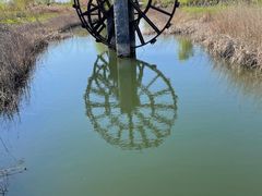 -泗洪洪泽湖湿地景区
