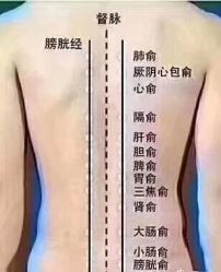 -兰派国际美容养生SPA