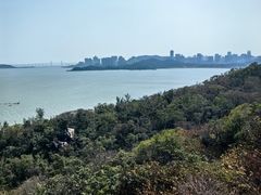 -野狸岛