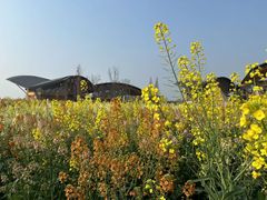 -葡萄园鱼庄(新津店)