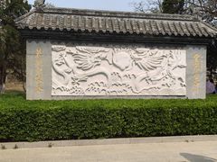 -桃花堤公园