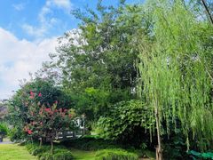 -盆景园(扬州大运河文化旅游度假区)