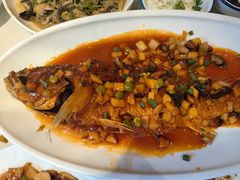 -新侨小馆(东直门北小街店)