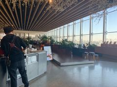 -Seesaw Coffee(朝阳大悦城店)