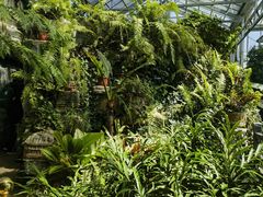 -国家植物园南园