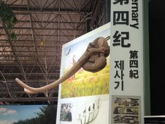 -中国西峡恐龙遗迹园