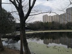 -高子水居