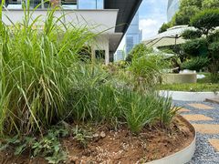 -翠贝卡&Mama Kelly Brunch Coffee(河西店)