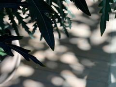 -时光花园(白鹭洲店)