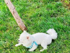 -渭河城市绿地运动公园