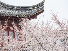 -鸡鸣寺