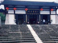 -大唐贡茶院