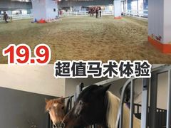 -骑乐马术(广州天河律动PARK中心)