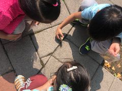 -北京园博大酒店