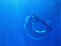 -多彩贵州城极地海洋世界