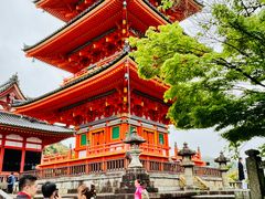 -清水寺