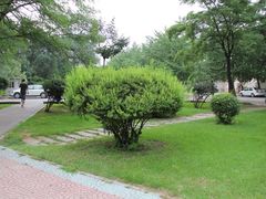 -辽宁大学(崇山校区)