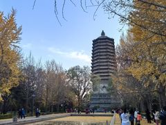 -玲珑塔公园