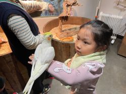 -Zoolung Zoolung动物主题公园(海信广场店)