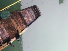 -逢源酒楼(东大街店)