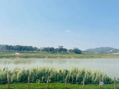 -光明小镇欢乐田园